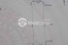 155trcông đất vườn tiền giang