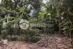 Bán 62m2 đất phúc lợi mt 4 7m hậu 40 triệum2