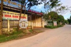 Đất mặt đường tính lộ 309b tam dương vĩnh phúc