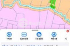 Tôi chính chủ cần tiền bán 1000m2 đất vườn view