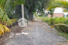 Bán 500m2 đất vườn vị trí đẹp đường xh tại bến lức