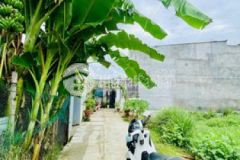 Bán đất hẻm liên hoa vĩnh ngọc giá tốt đầu tư