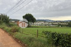 Chủ ngộp cần bán gấp 5 sào tại suối thông b, đạ ròn, đơn dương, lâm đồng