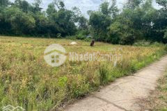 Đất nền đường dal p2 25 triệum ngang chính chủ