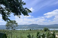 Bán 1005m2 đất đầu tư nghỉ dưỡng view sông đồng nai, lâm hà giá chỉ 925tr