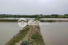 Đất nông sản 10.000m2 vị trí xã vĩnh hải, huyện vĩnh châu, tỉnh sóc trăng.