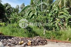 Bán đất và nhà xã lương nghĩa, huyện long mỹ, tỉnh hậu giang