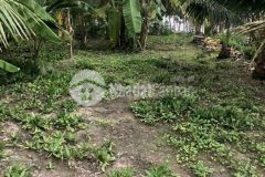 Bán đất thổ cư thuộc thị trấn huỳnh hữu nghĩa huyện mỹ tú, tỉnh sóc trăng