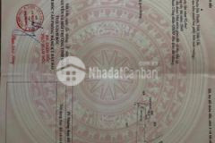 Đất hẻm 113 nguyễn cơ thạch