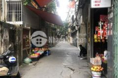 Tập thể cầu giấytrần quốc hoànô tôkinh doanh