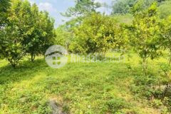 Đất thị trấn đà bắc mặt tiền dài 50m