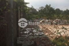 Đât hoa lơi bên cat ngay chơ nhât huy