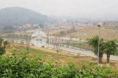 Bán biệt thự legacy hill hòa bình khuc view đẹp