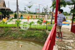 Đất view hồ tx bình long 520triệu 110m2 sổ riêng