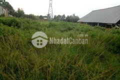 Do cần tiền xây nhà nên bán