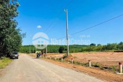 Cần ra gấp lô đất sào có thổ trả ngân hàng