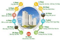 Cc bán nhanh giá tốt căn chung cư tecco tứ hiệp