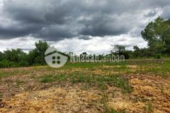 Đất thổ viêu kênh thủ thừa xe 16 chổ tới đất