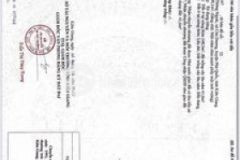 Bán nền đất phú quốc mặt tiền cây thông ngoài