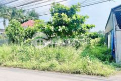 Bán đất 10x55 mt đường chính x bình minh trảng bom