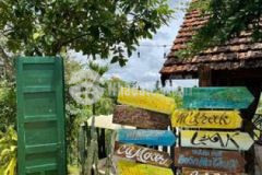 Nhà vườn homstay kinh doanh gần ngay sân bay