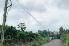 Bán đất sào vườn trái cây chính chủ tại trảng bom