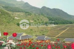 Đón sóng cao tốc bán gấp lô đất mặt đường h sapa