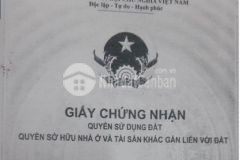 Bán nhà trọ 48 4m2 hướng tây giá 2 8 tỷ shr