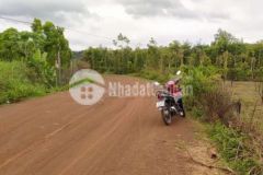 Cần bán nhanh lô đất hẻm đường tránh đông