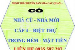 Nhà mặt tiền siêu đẹp giá rẻ