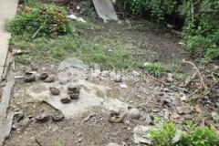 Nền lẻ 6 5m x 46m hữu định cách hl173 chỉ 70m