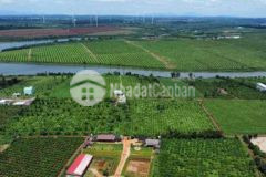 Đất nghỉ dưỡng ven hồ