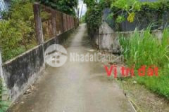 Đất thổ giá rẻ châu thành long an