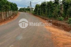 Bán lô đất 2 mặt tiền kom leo