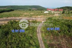 20ha rsx cách thiền viện trúc lâm quảng đức 1 1km