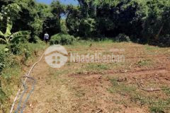 Bán lô đất 595m2 đảo phú quý sổ hồng riêng