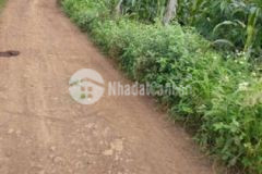 Đất rẫy ô tô đi 2 1 sào đất đỏ ba gian tx buôn hồ
