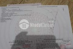 Đất rẫy ô tô đi 5 5 sào 130trsào tx buôn hồ