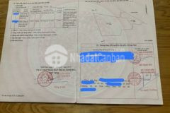 Chính chủ bán đất trồng cây lâu năm tại khánh hòa