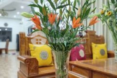 Bán nhà mặt tiền đường thuyền phường hiệp ninh tn