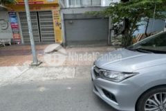 Bán nhà 1 trệt 1 lầu trục chính đường 1b khu vhtđ