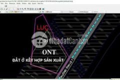 Cần bán miếng đất 1ha1 có 6500 thổ cư 2 mặt tiền