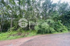 Đất cây lâu năm 1000m2 giá 380tr