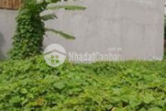 Đất quận 9 cần bán gấp