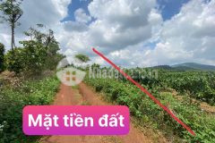 Đất ia ba, gia lai, 1000m2 ô tô chạy tới đất, gần tt pleiku, 159 tr