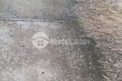 Bán 12 công đất vườn thuộc xã an thạnh nam, cù lao dung, sóc trăng