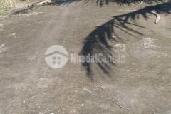 Bán 15 công đất lúa mặt tiền lộ đal dài 90m thuộc xã phú tâm huyện châu thành tỉnh sóc trăng