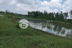 Bán đất vị trí đẹp tại ấp nguyễn tăng, xã đại ân 1, huyện cù lao dung, sóc trăng