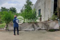 Gia đình cần tiền trả nợ ngân hàng cần bán gấp lô đất 200m210x20m gần khu du lịch đại nam