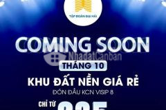 Chính thức nhận giữ chỗ đón đầu kcn visip chỉ từ 235tr